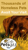 Pets 911 3